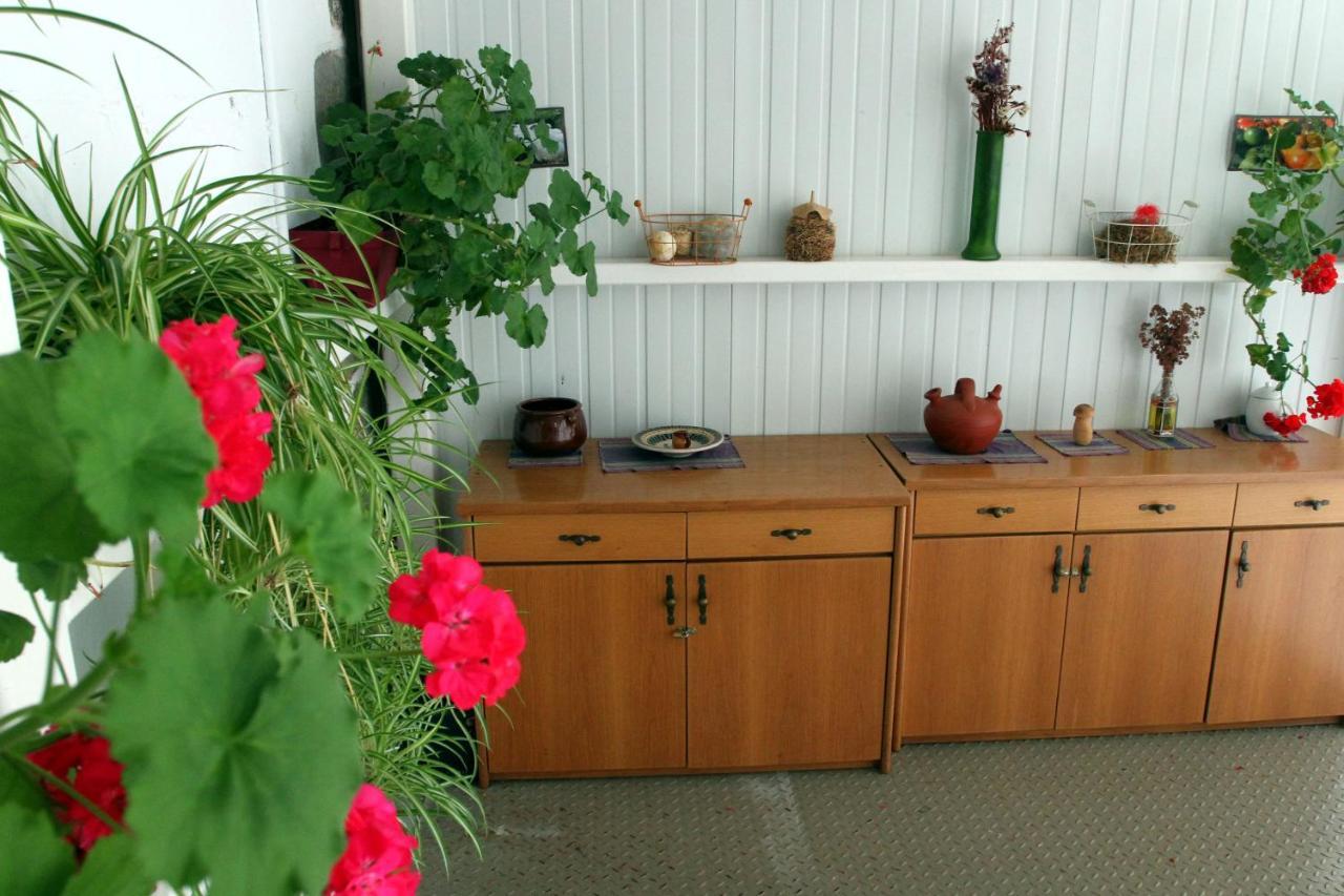 Albergue Ambiental De Beizama - Beizamako Aterpetxea מראה חיצוני תמונה