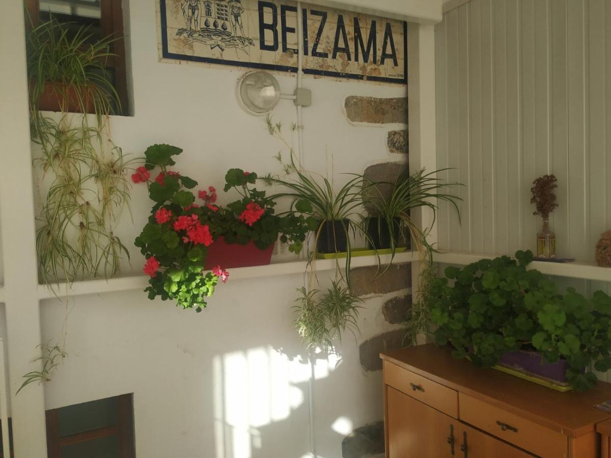 Albergue Ambiental De Beizama - Beizamako Aterpetxea מראה חיצוני תמונה